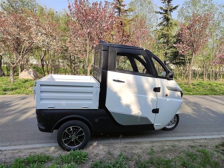 EEC COC DOT Low Speed Mini Electric Tricycle Pick Up Tricycle