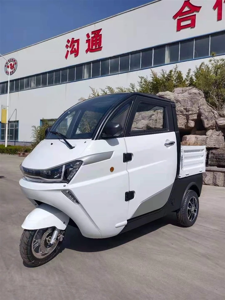 EEC COC DOT Low Speed Mini Electric Tricycle Pick Up Tricycle
