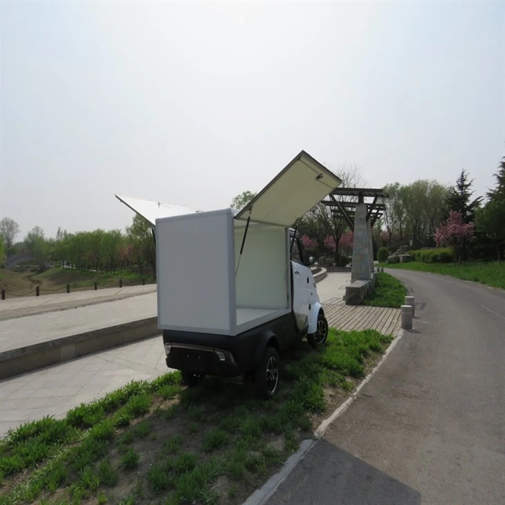 Fast Delivery Adults 4 Wheel Electric Truck Cargo With Enclosed Drive Cabin