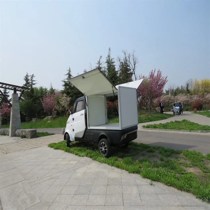 Fast Delivery Adults 4 Wheel Electric Truck Cargo With Enclosed Drive Cabin