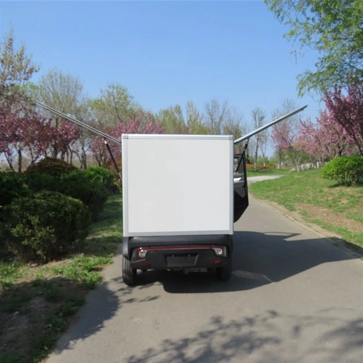 Fast Delivery Adults 4 Wheel Electric Truck Cargo With Enclosed Drive Cabin