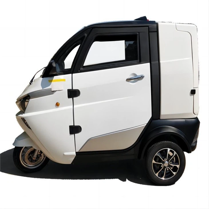 L5e Enclosed Cabin Type 3-wheel Pure Mini Takeaway Electric Car